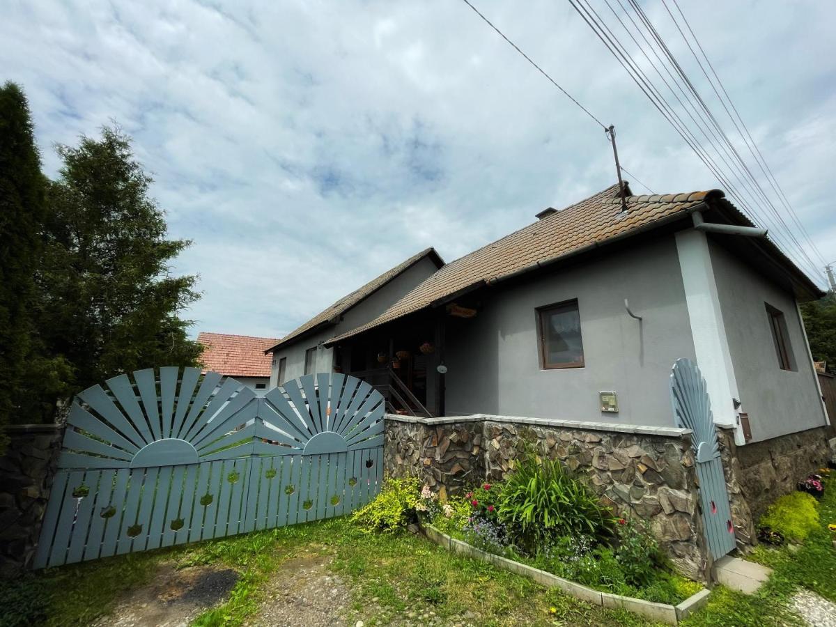 Fitod Casa De Oaspeti Cristina מראה חיצוני תמונה