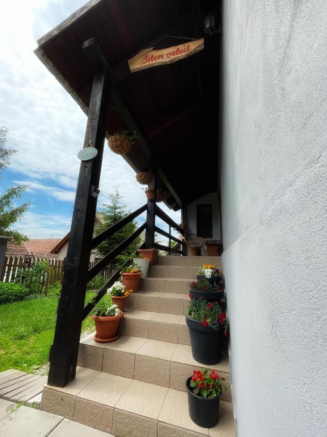 Fitod Casa De Oaspeti Cristina מראה חיצוני תמונה